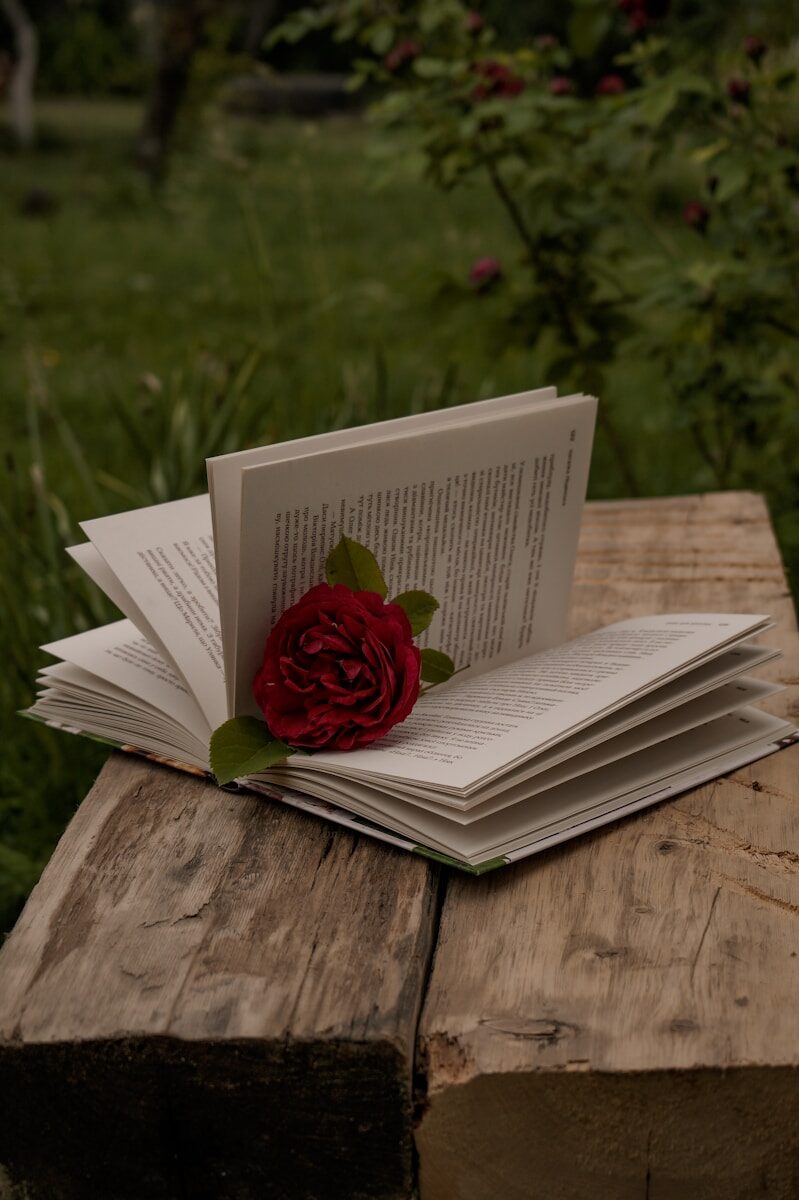 An open book rests on a wooden surface, adorned with a red rose. The image evokes themes of nature and literature, perfect for discussions on romance or inspiration.